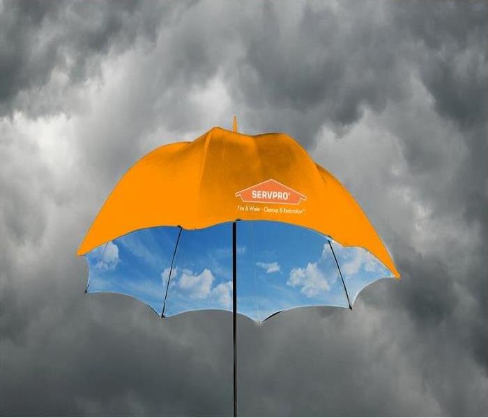 SERVPRO umbrella